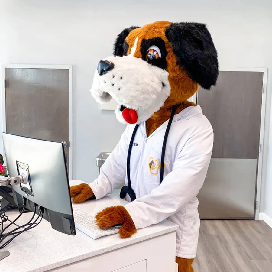 Dog Mascot At Computer