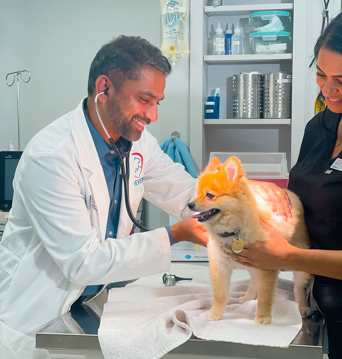veterinarians with a dog during a wellness exam