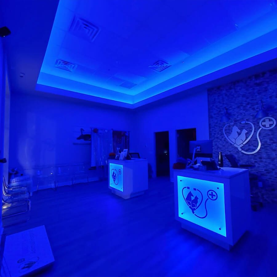 Waiting Room Blacklights