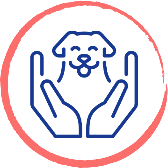 Enriching Dog Daycare  in Jacksonville, Florida