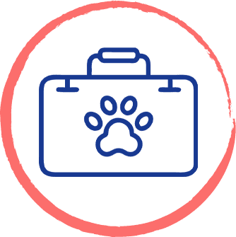 Emergency Veterinarian for After-Hours Vet Care in Florida
