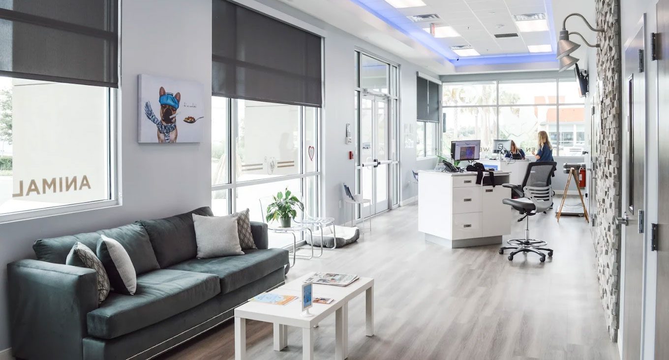 veterinary clinic waiting area