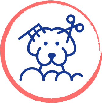 Professional Cat & Dog Grooming  in Jacksonville & St. Augustine, Florida