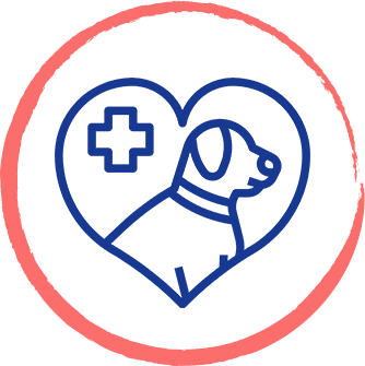 Dog & Cat Pain Management Acupuncture & Laser Therapy for Pets in Florida