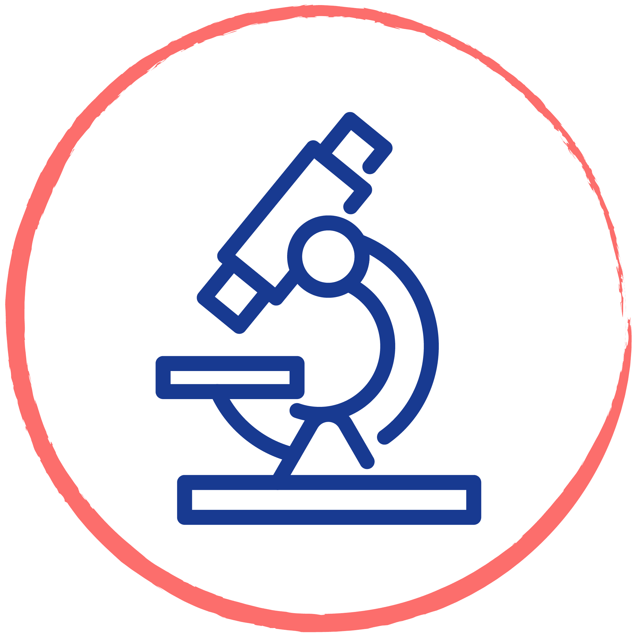 Veterinary Diagnostics for Pets in Florida: Bloodwork, Lab Tests, X-Rays, Ultrasound & Endoscopy