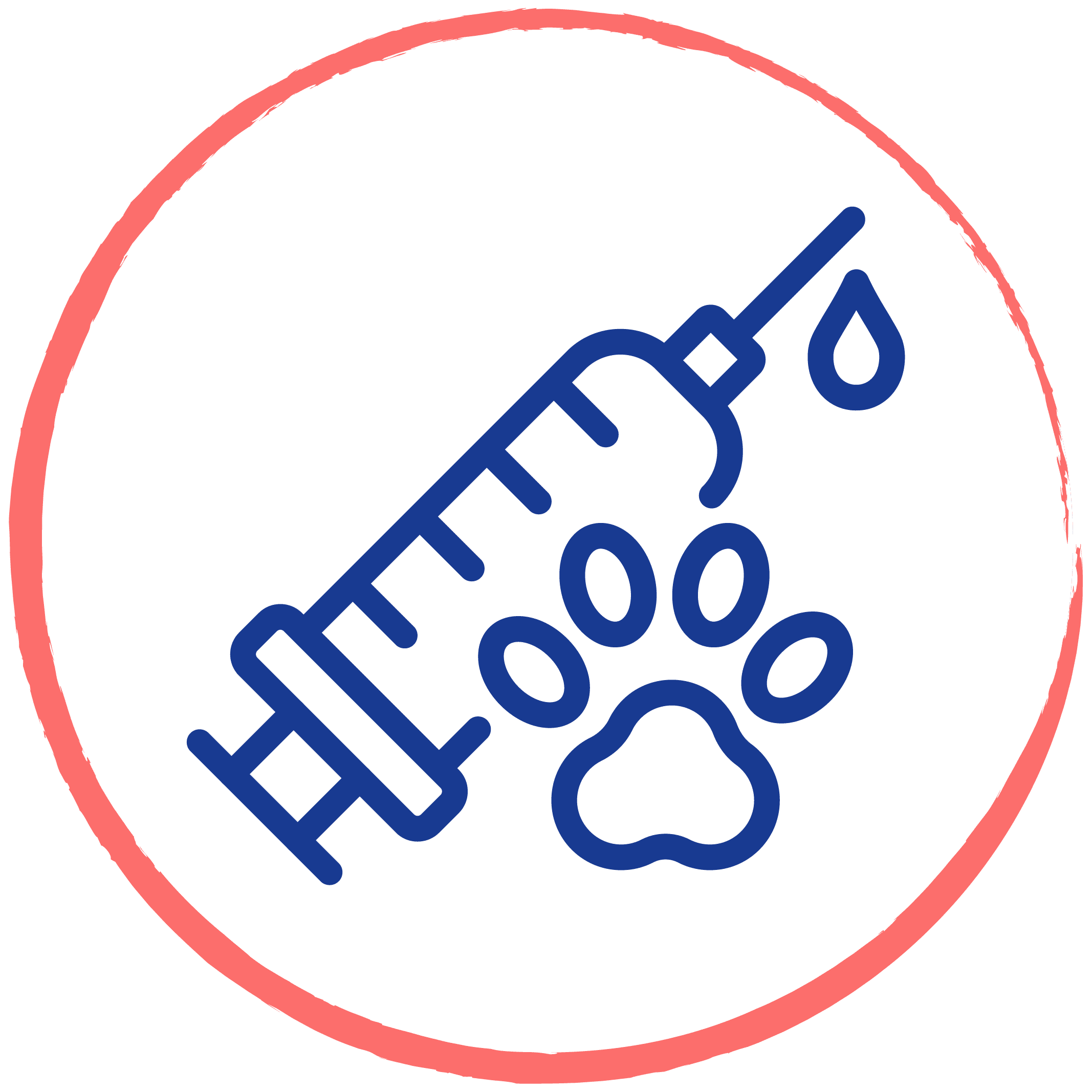 Cat & Dog Vaccinations for Disease Defense In Jacksonville, FL and Nearby