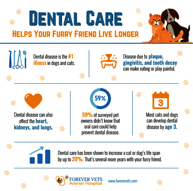 Dental Care Helps Your Furry Friend Live Longer Checklist and Banner