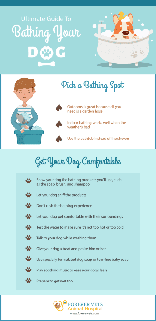 Ultimate Guide To Bathing Your Dog Checklist