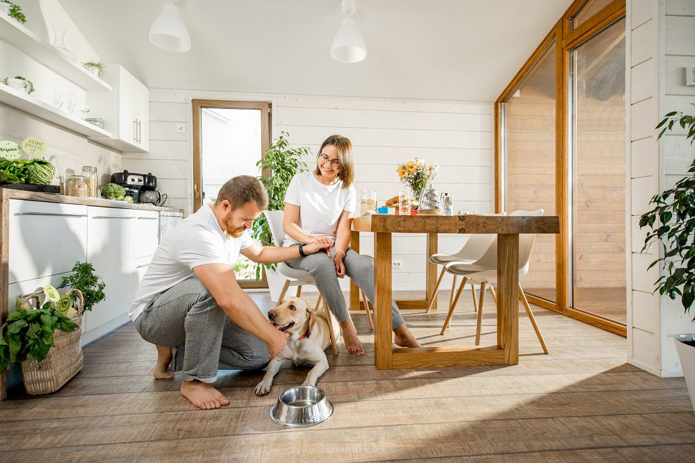 Couple Feeding Dog in Kitchen animal emergency hospital Jacksonville