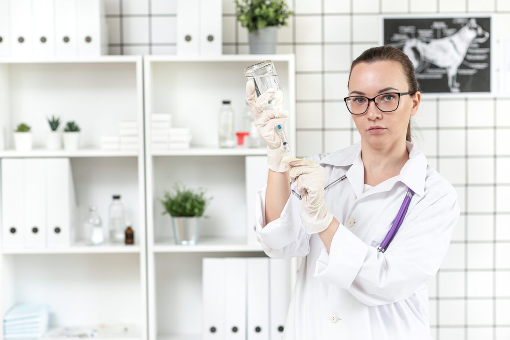 veterinarian prepares for rabies vaccine appointment in the clinic
