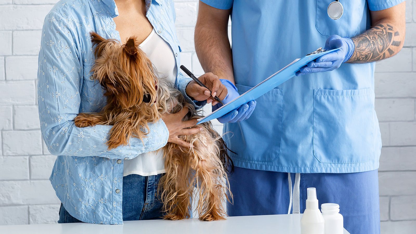 client with cute dog signing pet insurance for dogs policy at veterinarian clinic