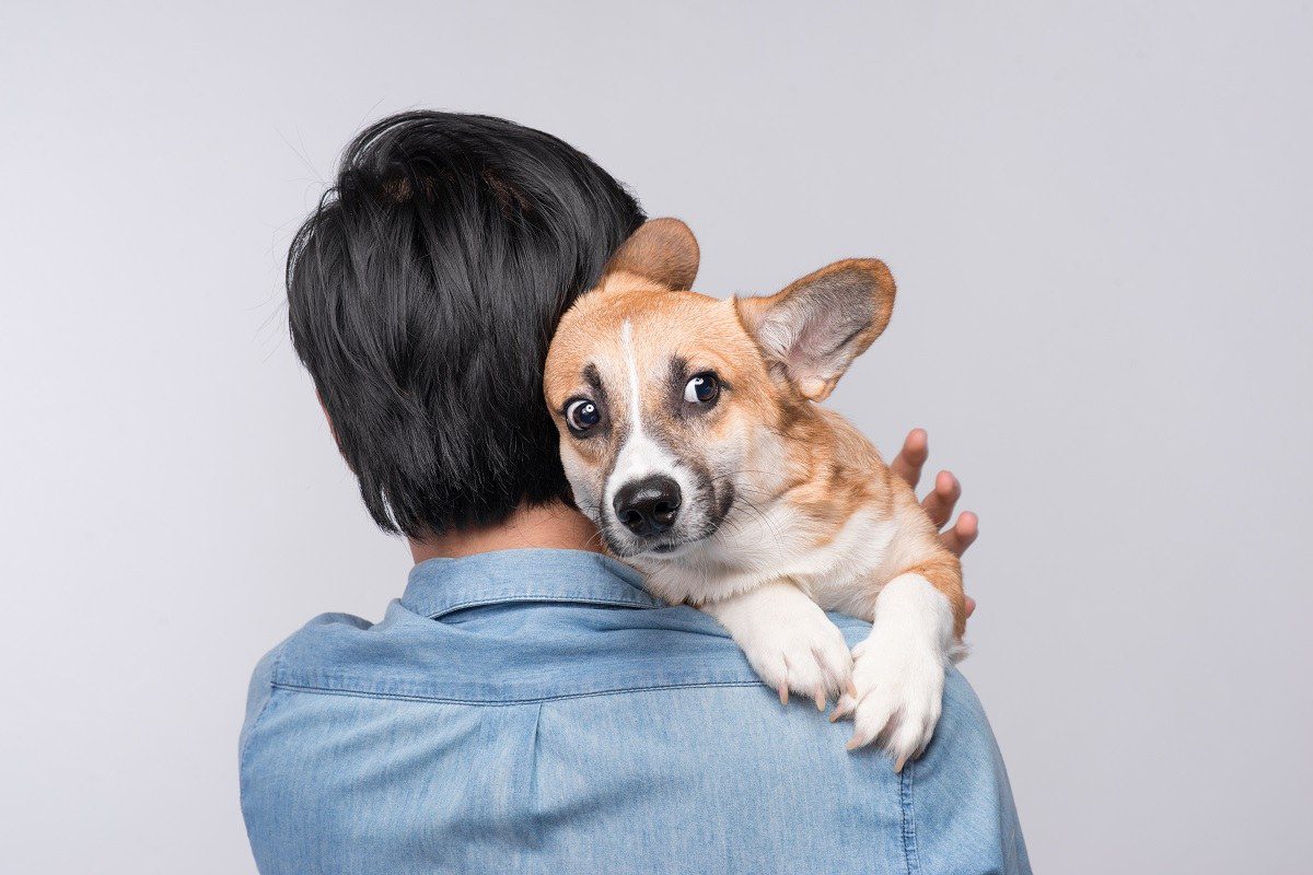PET VACCINATIONS: WHY ARE THEY SO IMPORTANT?