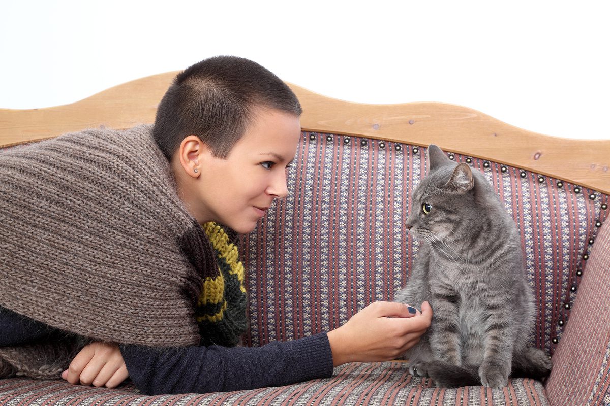 Young woman and gray domestic cat at boarding facility for cats
