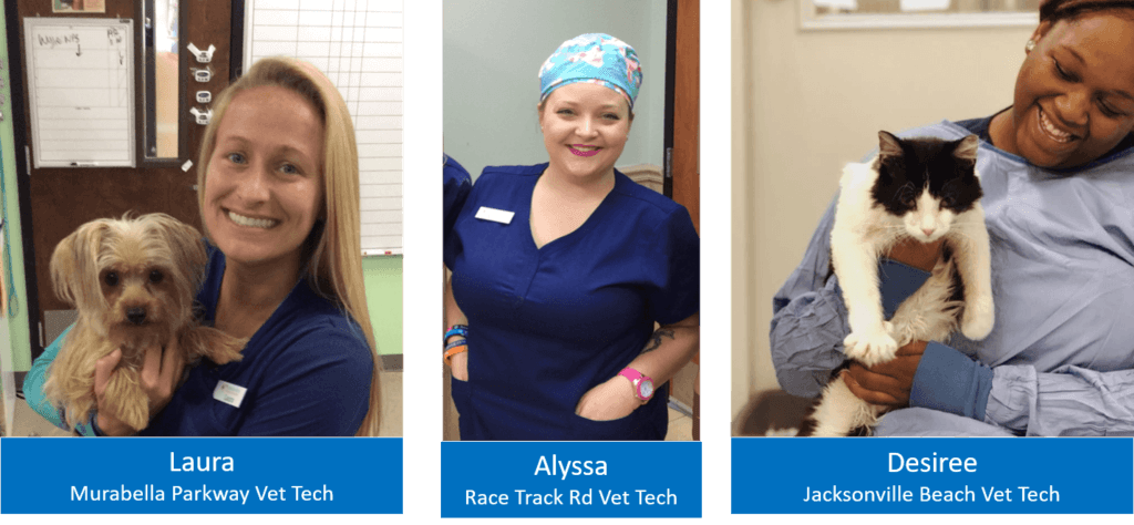 Vet Techs Forever Vets Animal Hospital Florida