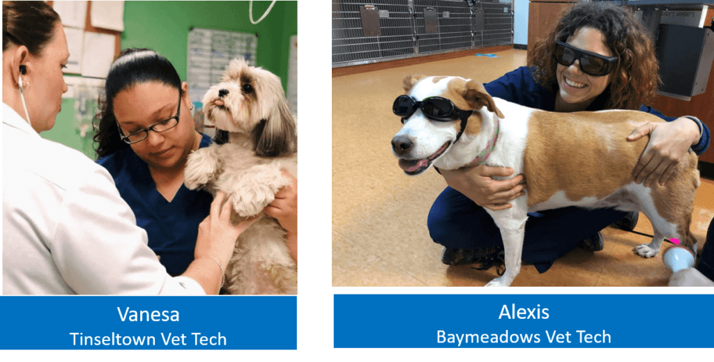 Vet Techs1 Forever Vets Animal Hospital Florida