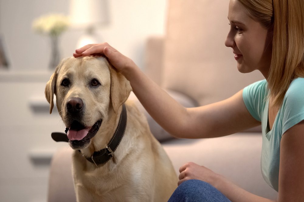 Woman Petting Dog at animial hospital Jacksonville beach