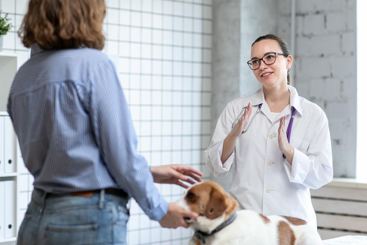 Veterinary doctor in Ponte Verda Beach, FL