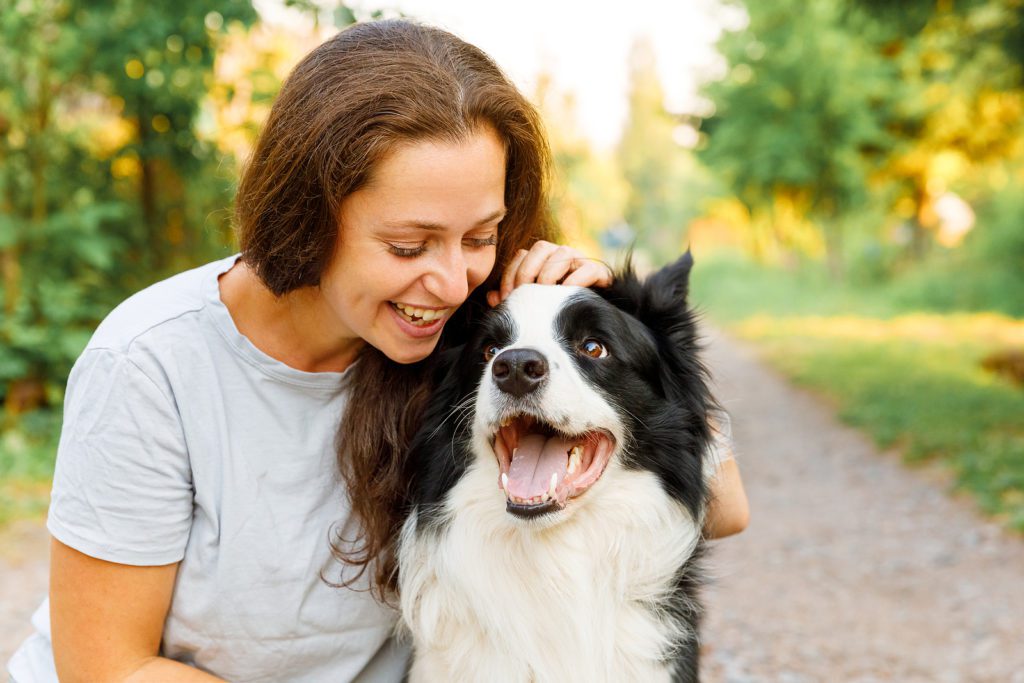 Woman Playing With Cute Border Collie