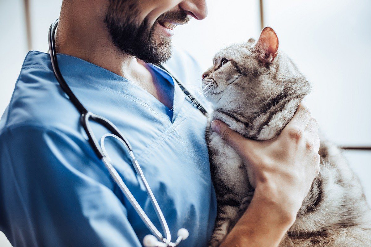 pet preventive care plans