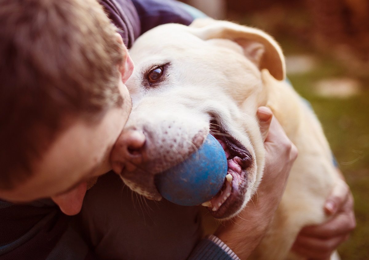 THINGS YOU SHOULD KNOW ABOUT PET TUMORS