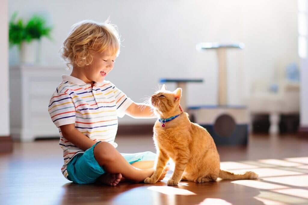 child petting a cat