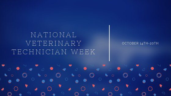 National Veterinary Technician Week banner at Forever Vets Animal Hospital in Florida
