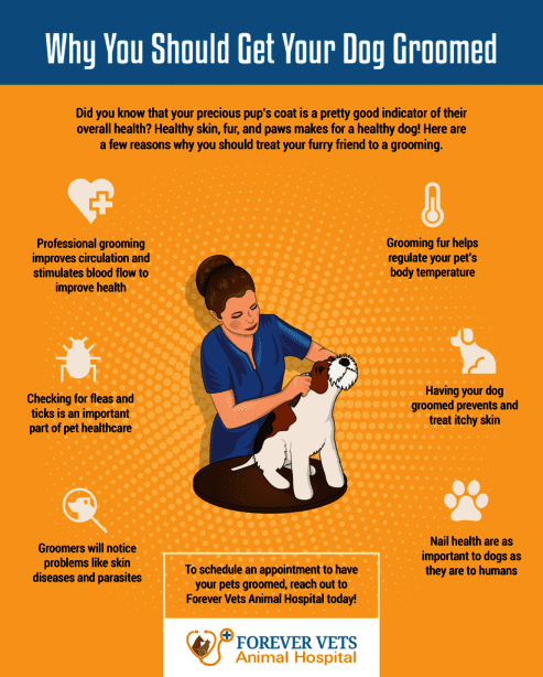 Why You Should Get Your Dog Groomed checklist banner