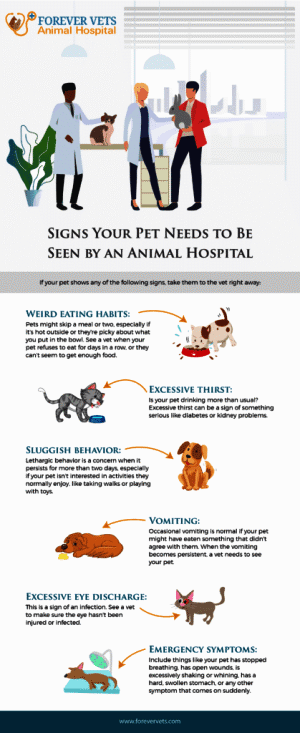 Signs Your Pet Needs To Be Seen By An Animal Hospital Checklist and Banner