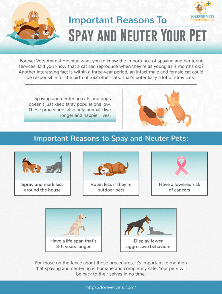 Important Reasons To Spay And Neuter Your Pet Checklist And Banner