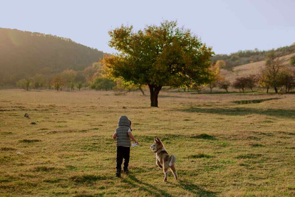 dog running with a boy outside