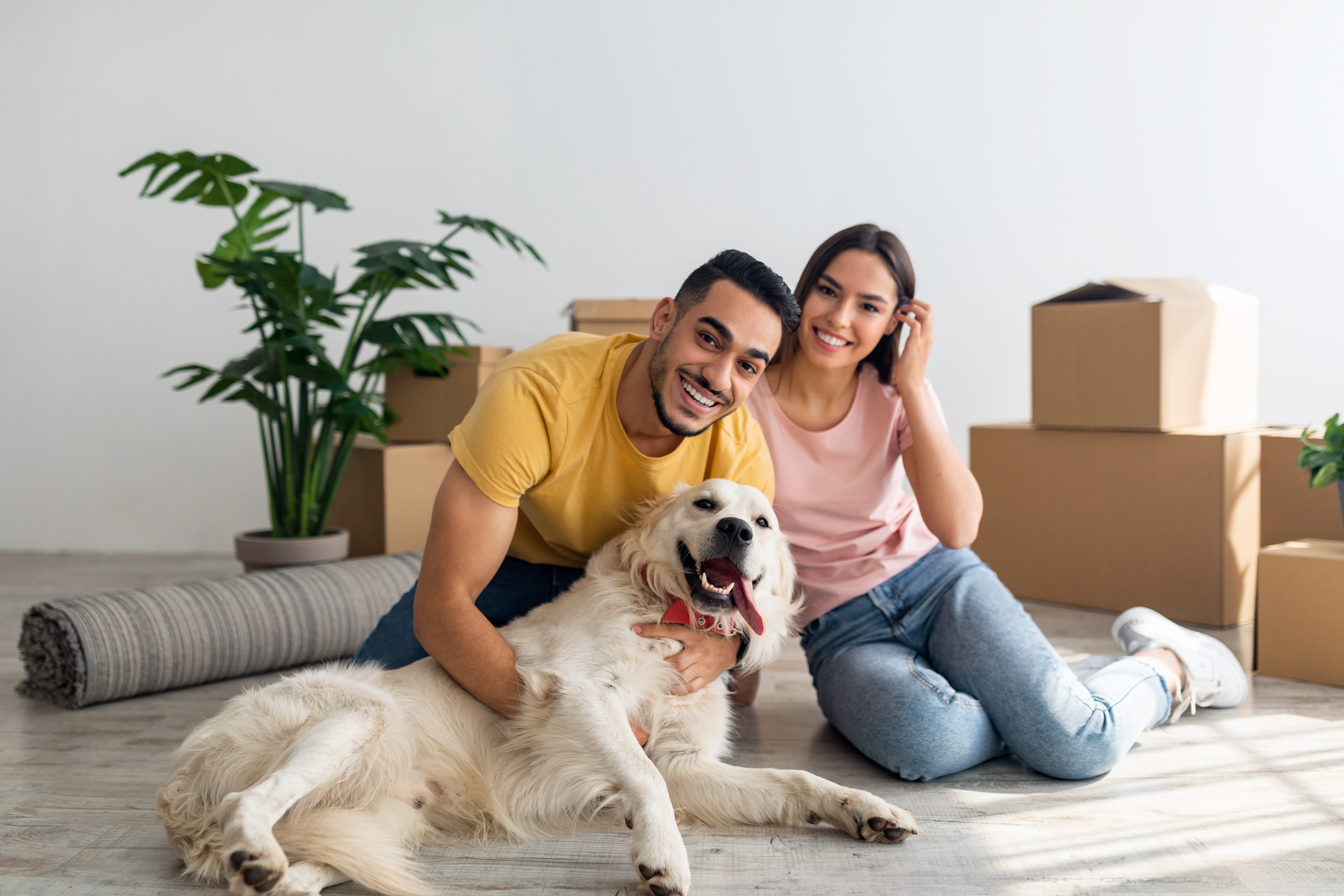 Most Popular Pets in America 