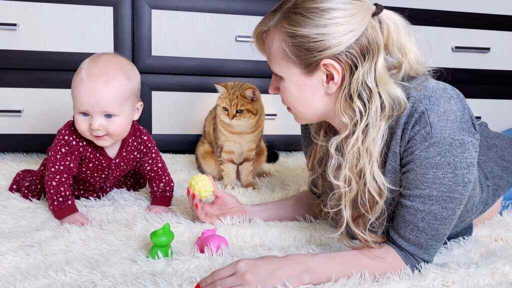 cat playing with baby and toys