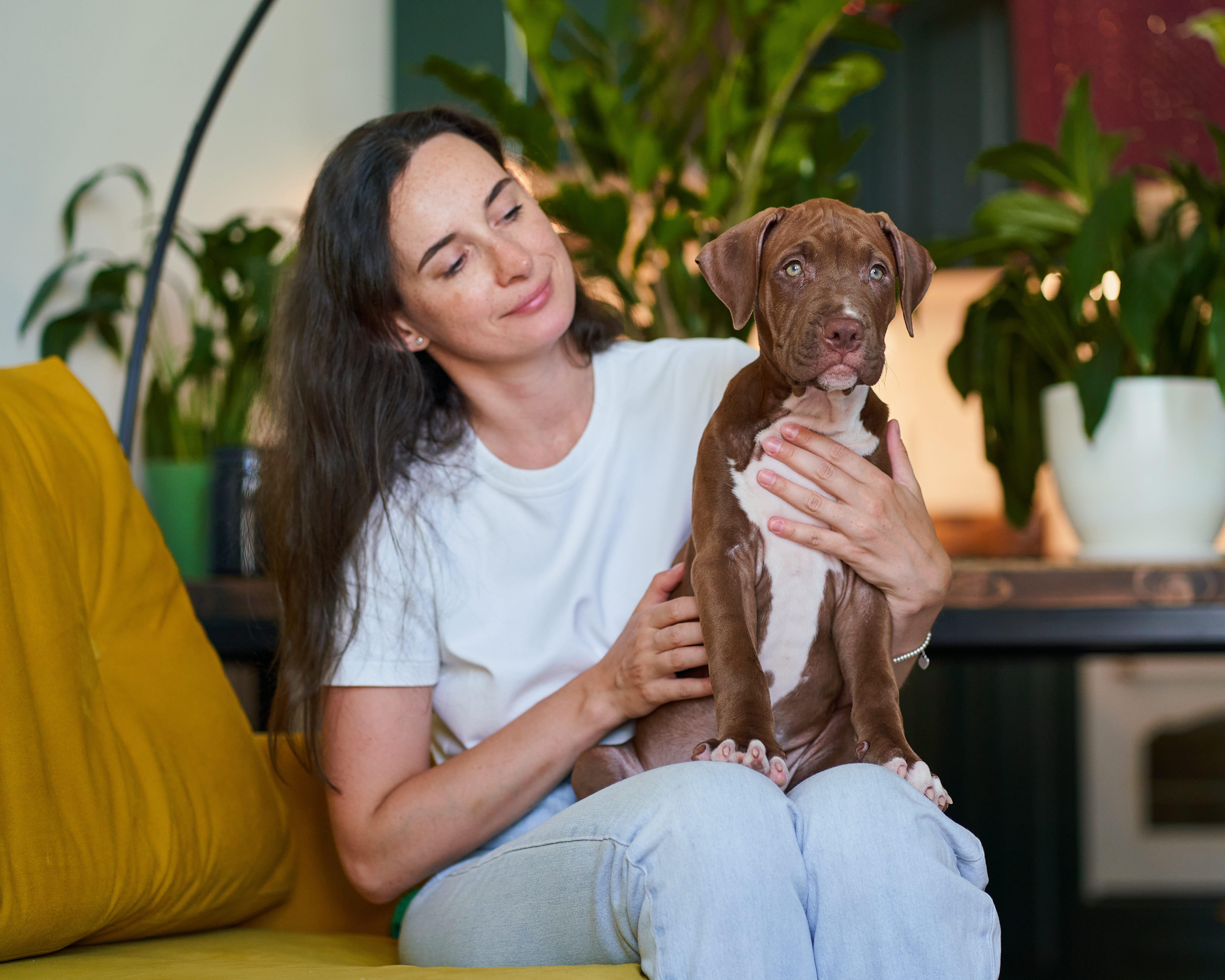 6 Best Pets to Consider for Your Child