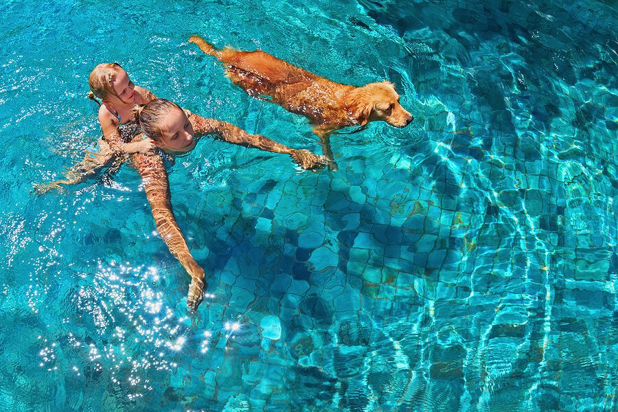 dog swimming in the pool with a woman and little girl