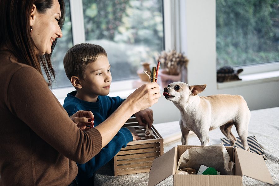 boy and woman giving new toys to their small dog