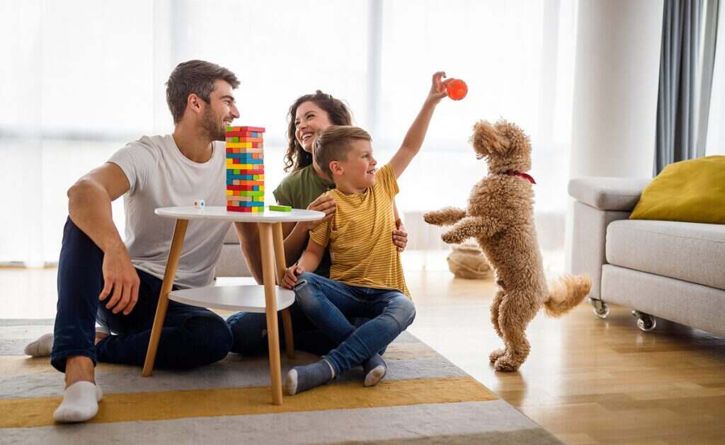 dog playing with his family in the living room