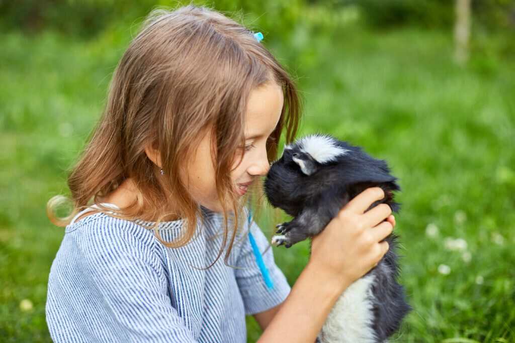 little girl holding a hamster and looking in his eyes