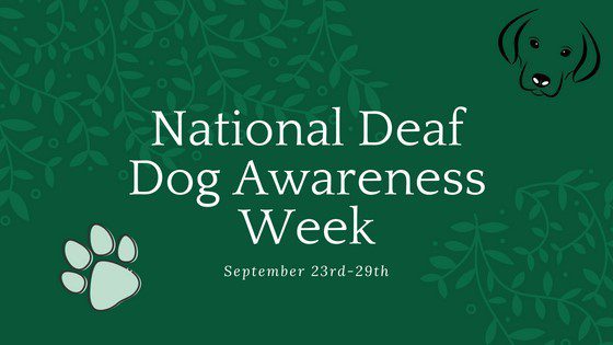 National Deaf Dogs Awareness Week Banner from September 2018