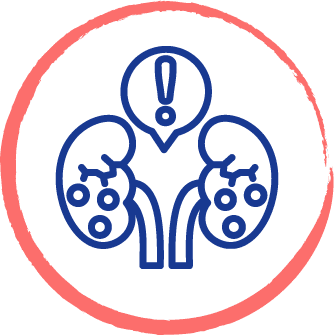 drawing of kidneys inside of a red circle
