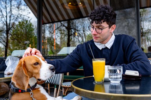 young man sitting at an outdoor table at a restaurant with his beagle dog