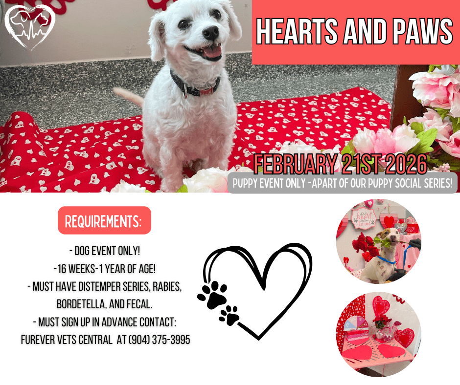 flyer for Hearts and Paws dog event hosted by Forever Vets Central