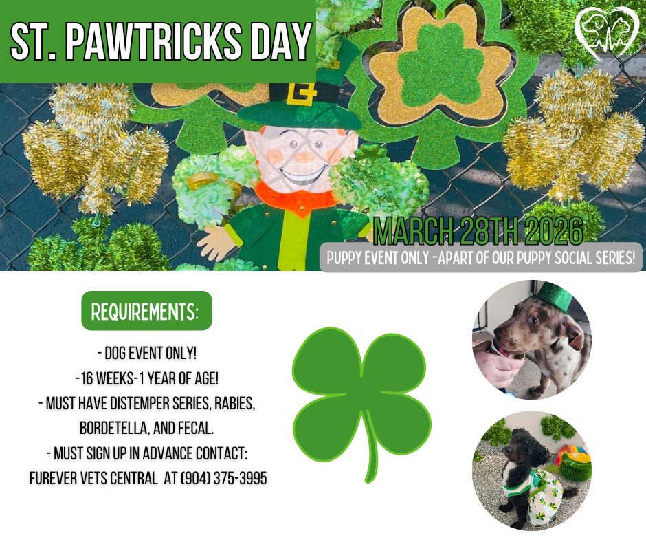 St. Pawtricks Themed Puppy Social flyer