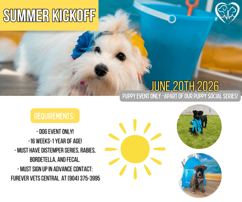 flyer for Summer Kickoff dog event hosted by Forever Vets Central