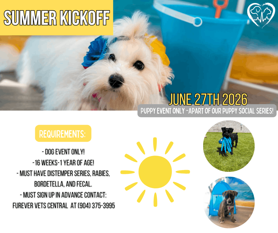 Summer Kickoff