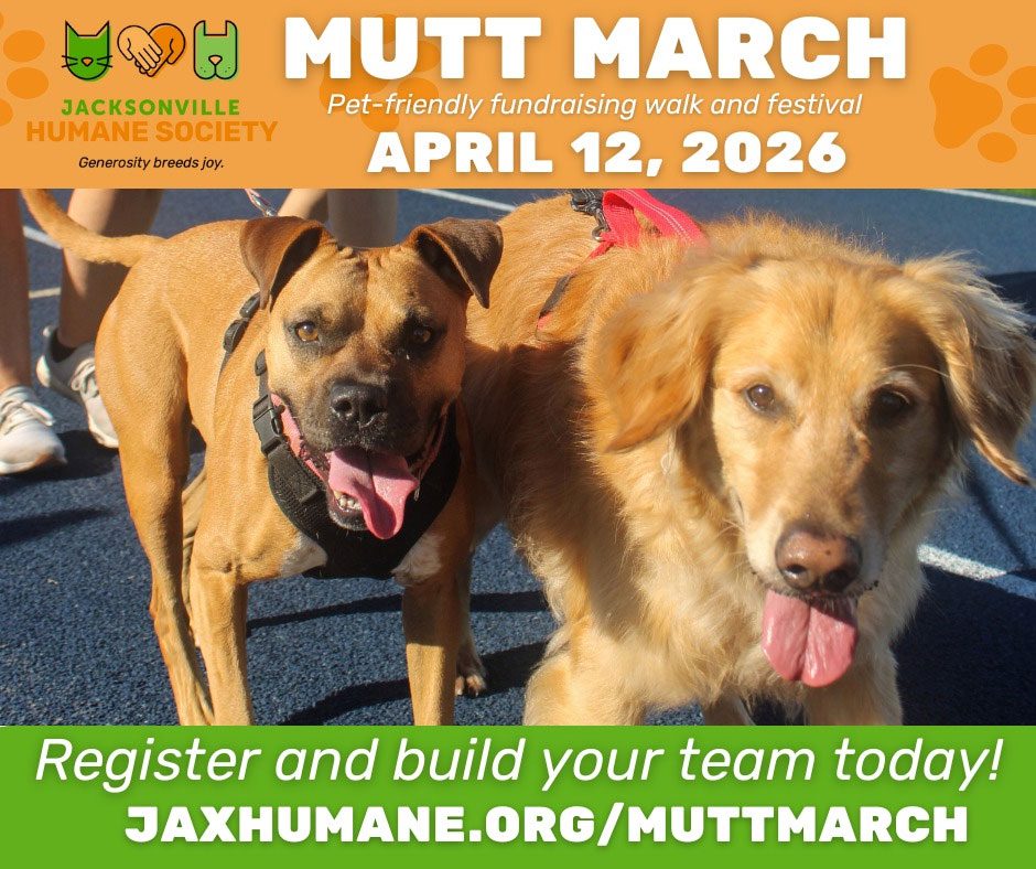 Mutt March 2026