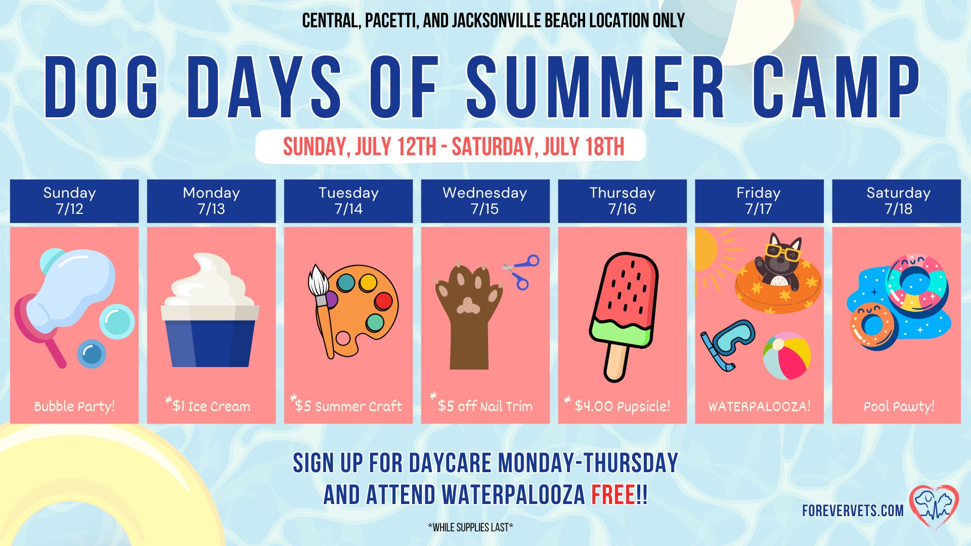 dog days of summer