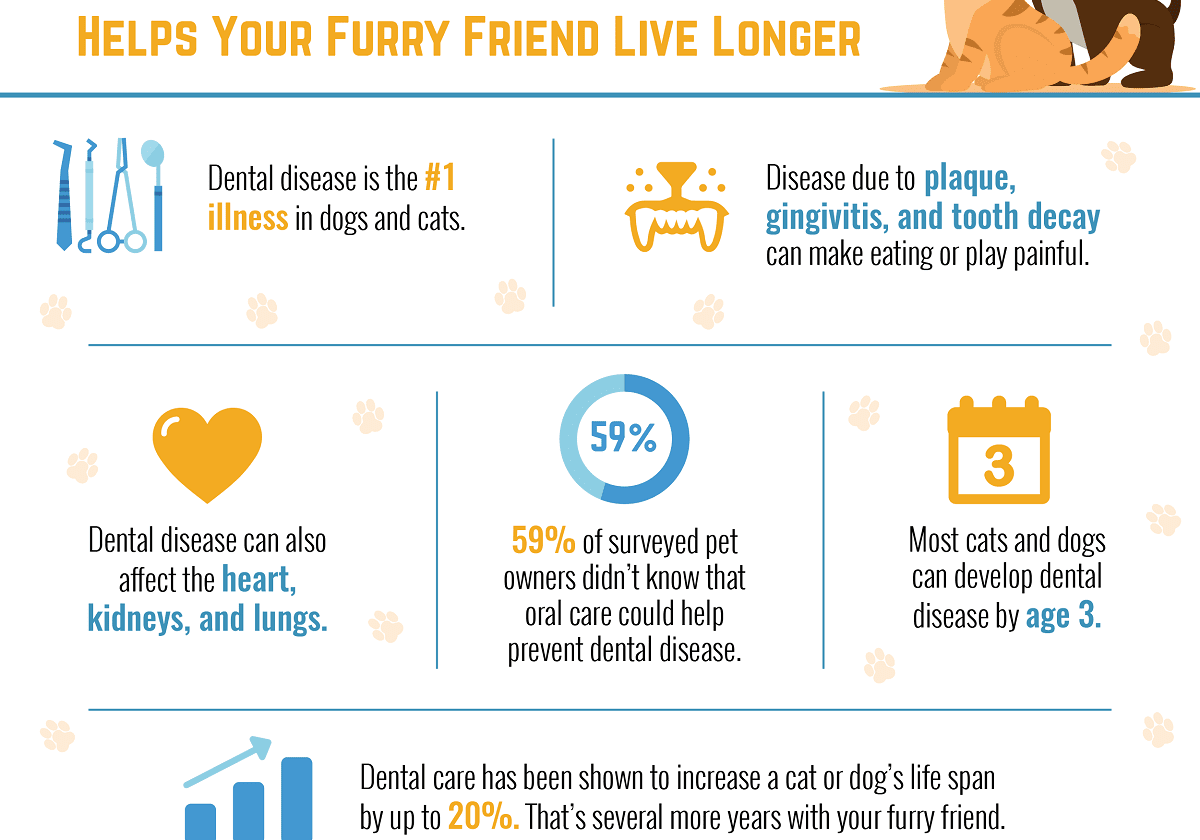 Dental Care Helps Your Furry Friend Live Longer Checklist and Banner