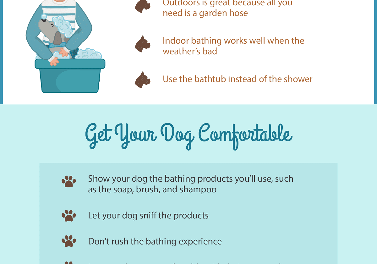 Ultimate Guide To Bathing Your Dog Checklist