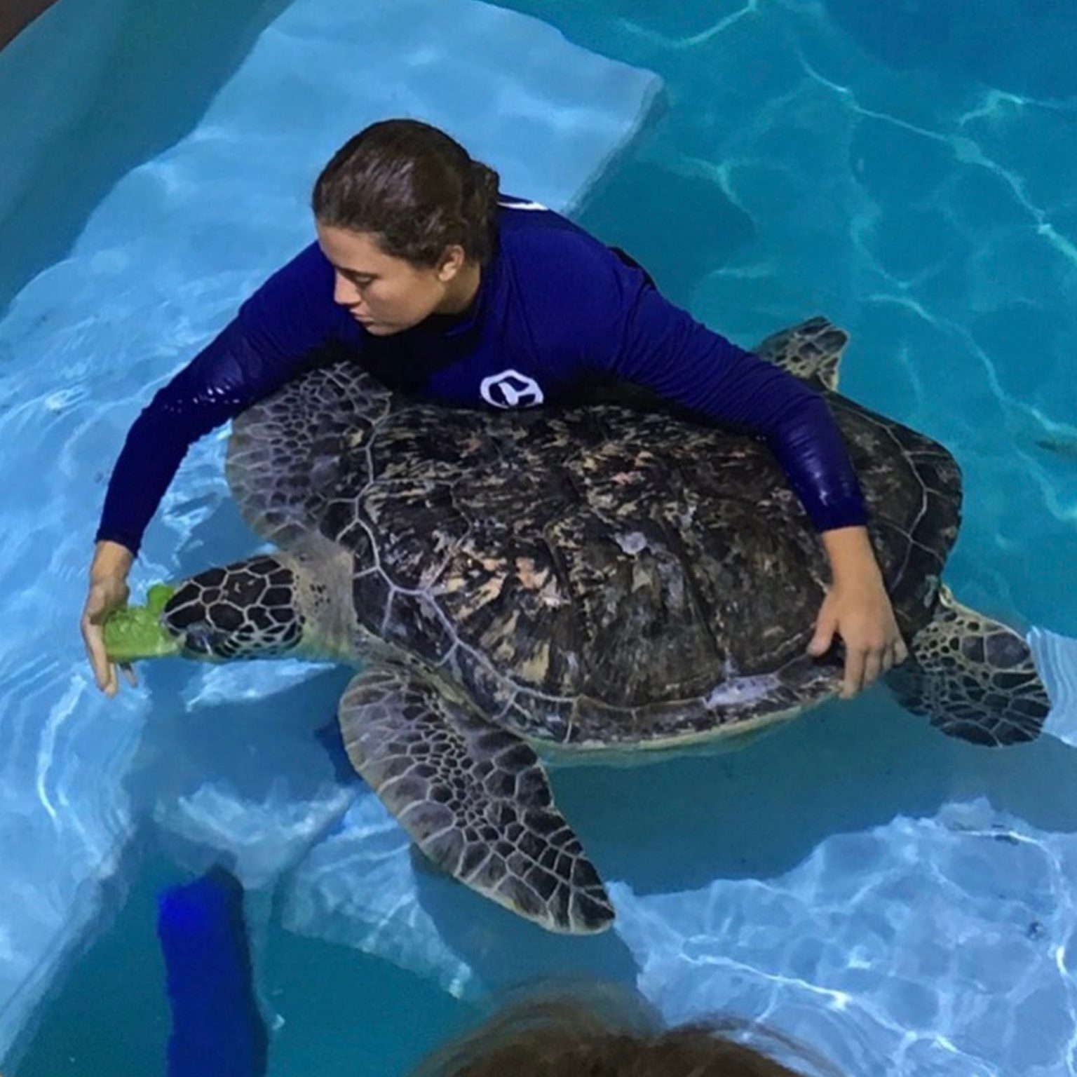 Emma Gonzalez With Turtle