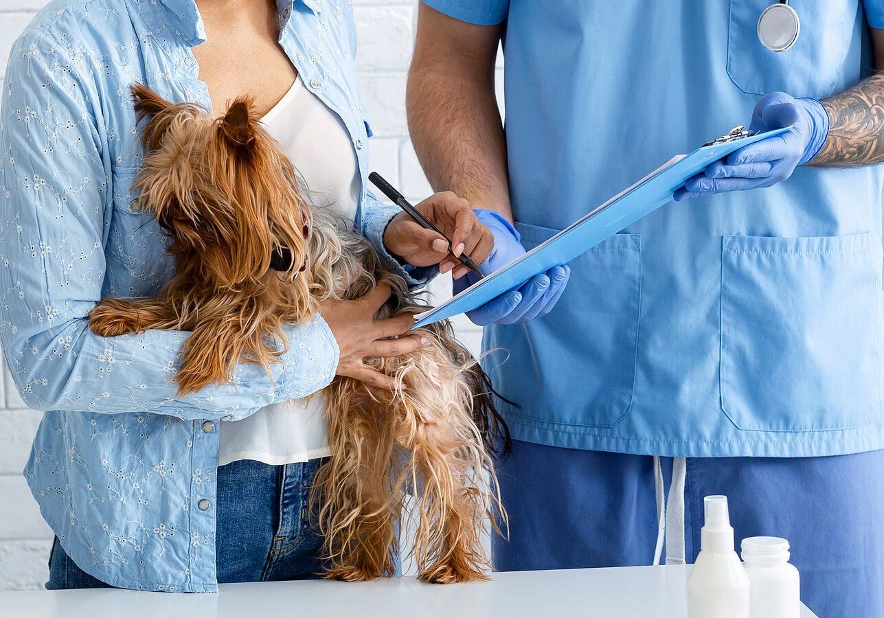 Client With Cute Dog Signing Pet Insurance For Dogs Policy At Veterinarian Clinic